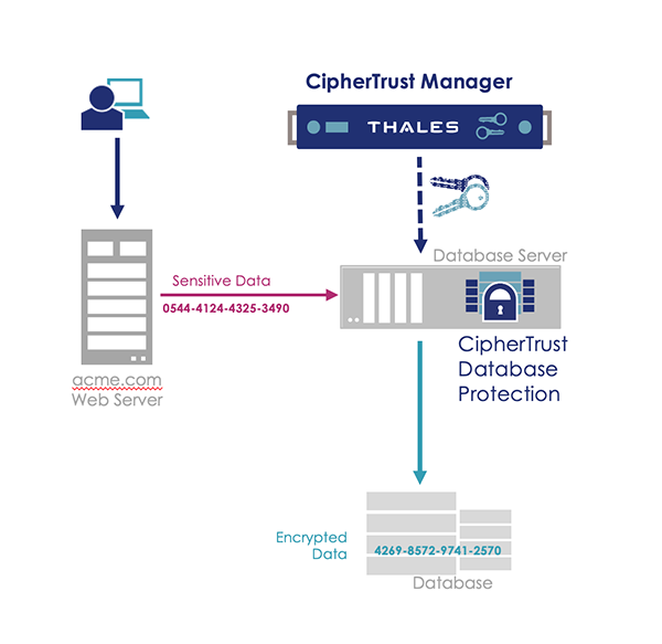 Thales SafeNet Plus Service Plan - Extended Service Agreement - 1 Year - 020-160001-002-000 - Encryption