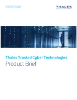 CipherTrust Security Intelligence Product Brief
