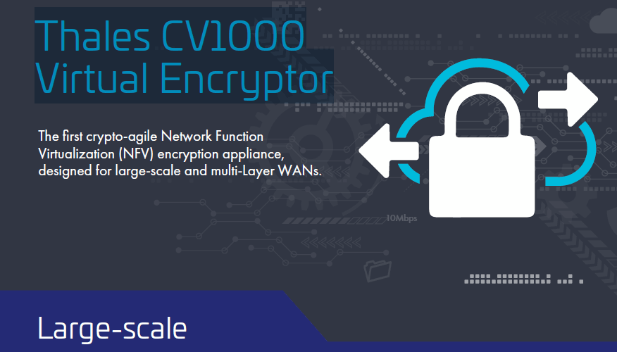 cv1000-infographic-tn