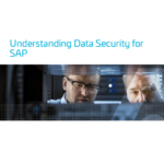 White Paper: Understanding Data Security for SAP