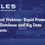 On Demand Webinar: Rapid Protection for Teradata Database and Big Data Environments