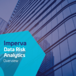 Solution Brief: Data Risk Analytics Overview