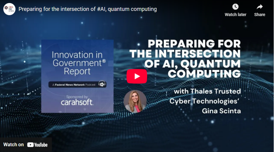 fnn-quantum-video-tn