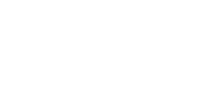 white-icon-large-CipherTrust-Data-Security-Platform-CDSP (1)